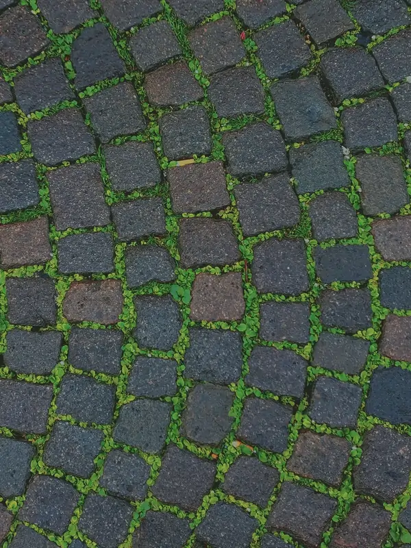 Zabrudzona kostka brukowa